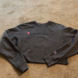 Cropped champion sweater